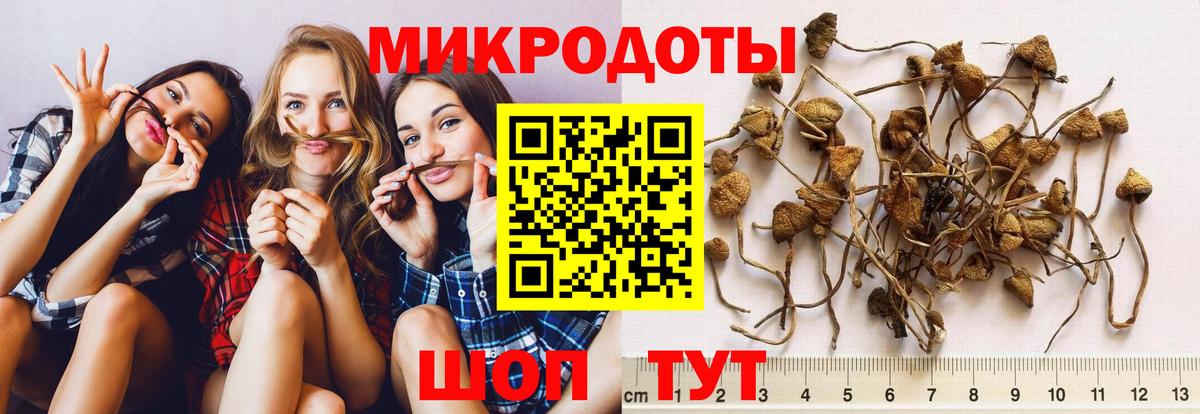 Галлюциногенные грибы ЛСД  Вход с VPN  Кимры 