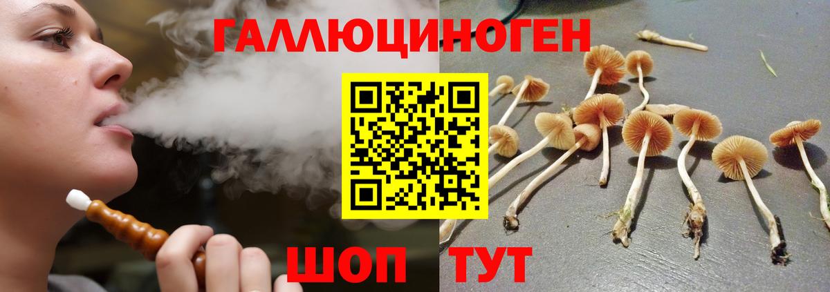 Галлюциногенные грибы прущие грибы Кимры